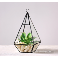 Nouveau produit Terrarium suspendu en verre géométrique d&#39;intérieur